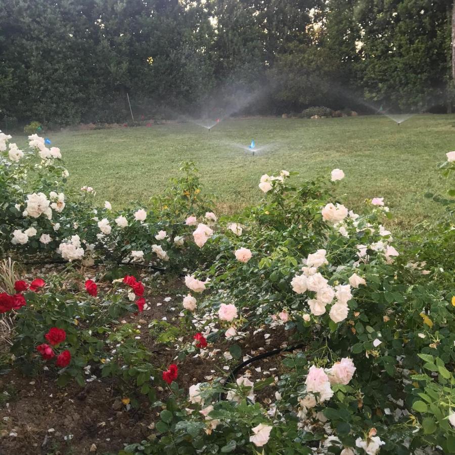 B&B Villa Fioreconero Montacuto Dış mekan fotoğraf