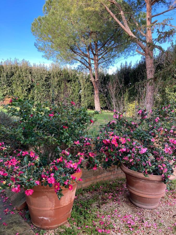 B&B Villa Fioreconero Montacuto Dış mekan fotoğraf