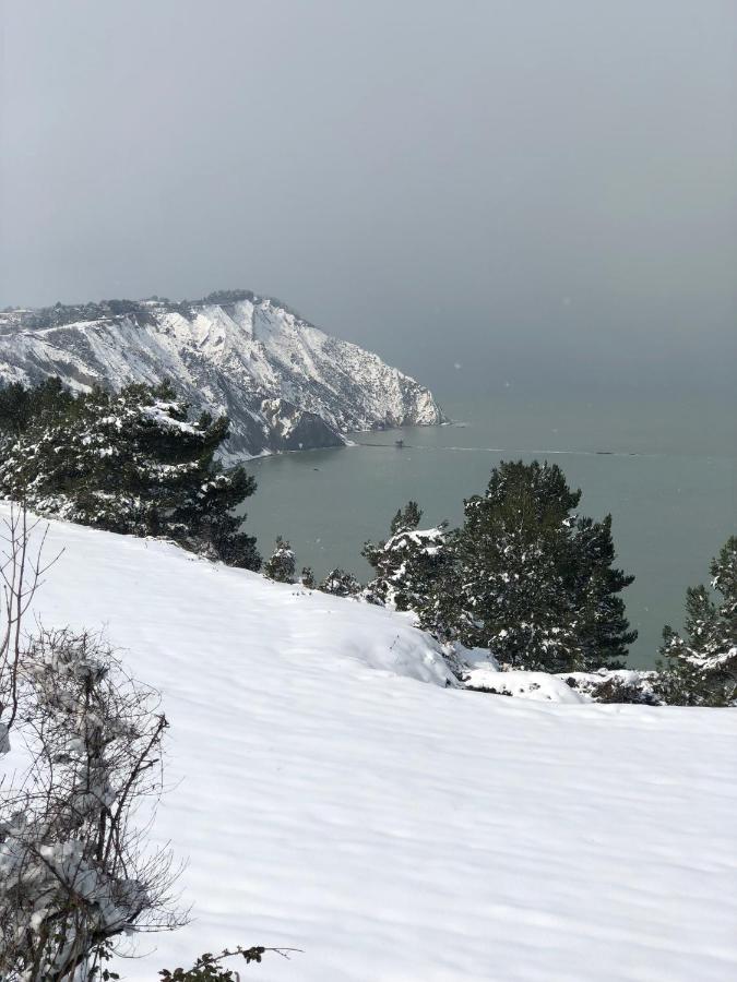 B&B Villa Fioreconero Montacuto Dış mekan fotoğraf